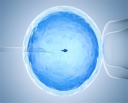 哪里代怀比较好_送子代怀网_江门北街医院做试管多少钱