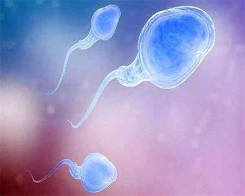 贵州试管代怀生子医院排名，附三代试管费用清单！