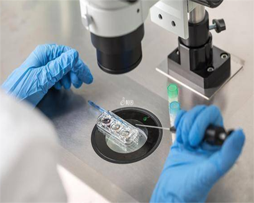 代怀需要多少钱_私人代怀多少钱,柬埔寨试管婴儿一次成功容易吗？-南京代怀供