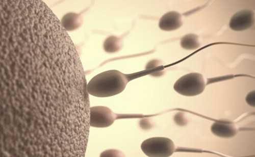 河南私人供卵试管套餐有哪些,最好的供卵机构（河南捐献卵子联系方式）