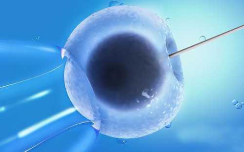 技术先进的河南供卵试管医院-河南供卵试管医院