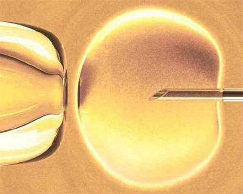 义乌市可以做试管生龙凤胎吗？附河南十强试管医院名单