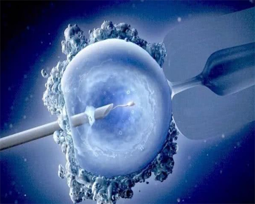 洛阳宝岛妇产医院的试管婴儿技术,洛阳市社保对三代试管项目有哪些报销政策