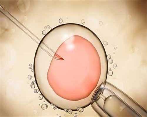 河南供卵试管助孕费用,河南借卵试管婴儿费用贵不贵？