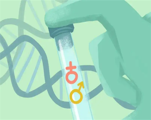 河南设计培训机构排名,2026河南供卵助孕机构排名公布，附河南最大的供卵机构