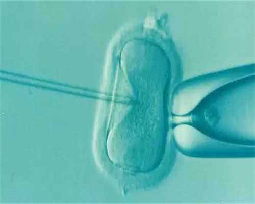 洛阳正规的冻卵医院?,洛阳试管婴儿最好的私立医院,洛阳做试管婴儿最好的私立