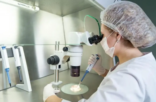 国内代怀中心_代怀费用是多少_预备20万做试管，想知道香港哪家医院收费最低