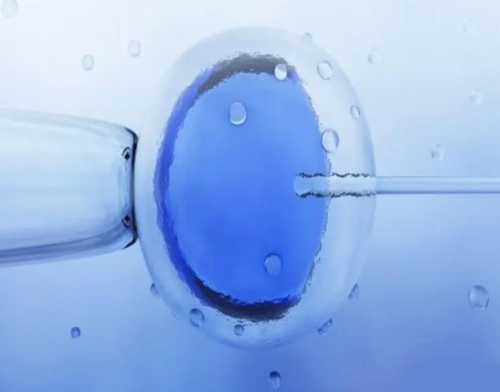 洛阳艺术生培训机构排名榜洛阳艺术生培训机构哪个好