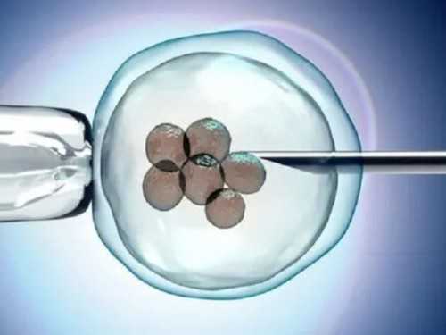 河南助孕价格,河南**男孩,河南**妈妈,河南武警试管婴儿医院价格多少钱？