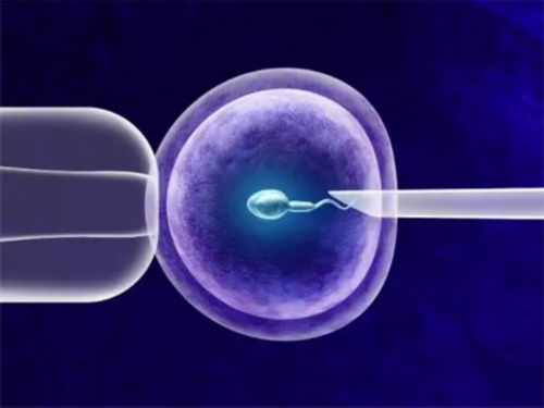 河南黄热病疫苗接种点,河南黄热病疫苗接种点