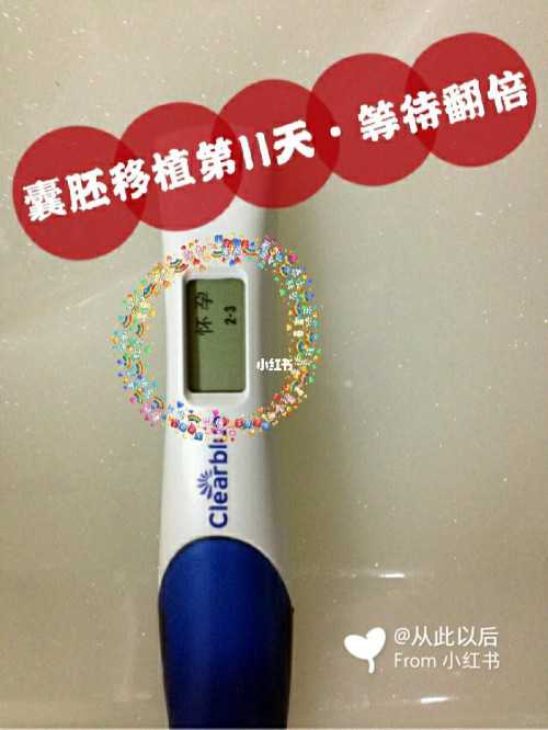 代怀男孩_代怀机构,2026
首都医科大学附属北京朝阳医院做三代试管供卵费用全