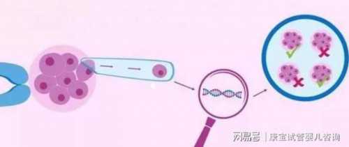 洛阳专业的代孕中心费用|做试管婴儿要住院吗？胚胎移植后可以上班吗？