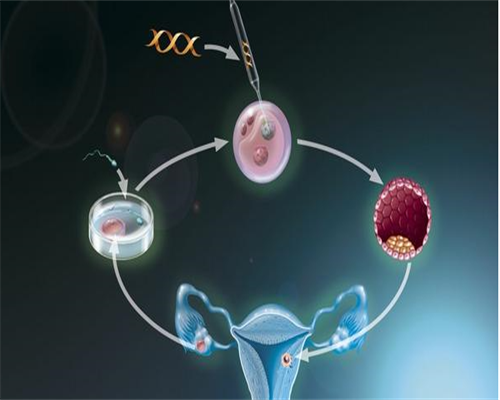 郑州人民医院郑州人民医院试管婴儿怎么样