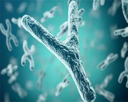 郑州助孕试管婴儿取卵过程会痛吗