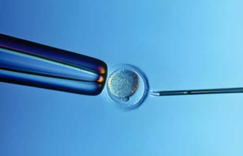 (试管婴儿郑州)郑州三代试管包生男孩哪家好