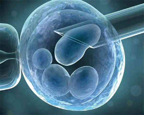 河南供卵试管需多少钱费用呢,河南信阳供卵试管婴儿生孩子医院排名，哪家医