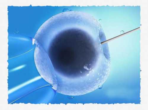 辽阳供卵代怀孕三代试管包儿子