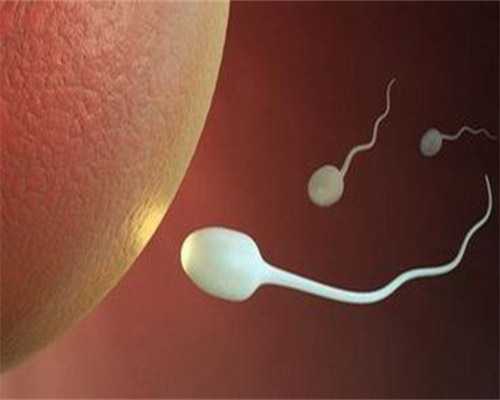 洛阳紫朵朵供卵价格,在洛阳做第三代试管婴儿价格