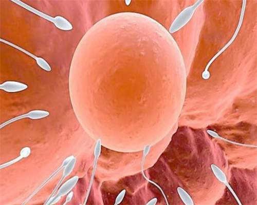 洛阳头发移植手术需要多少钱？洛阳头发移植,洛阳哪家医院的三代试管婴儿技