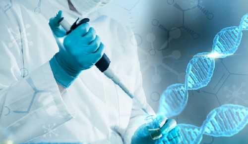 2026河南公立医院三代试管婴儿费用一览，附河南三代试管医院排名介绍