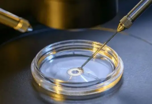 河南代孕在线咨询 2026河南省妇幼保健院试管婴儿费用-内附供卵费用明细参考