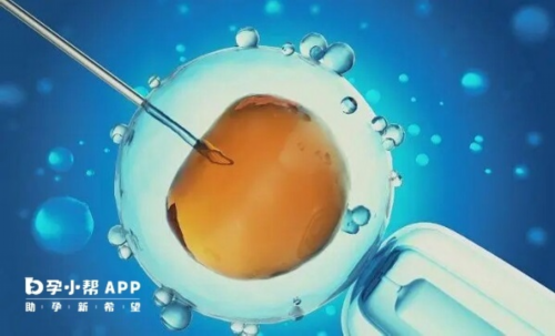 河南哪里可以冷冻卵子?,河南哪里可以冷冻卵子
