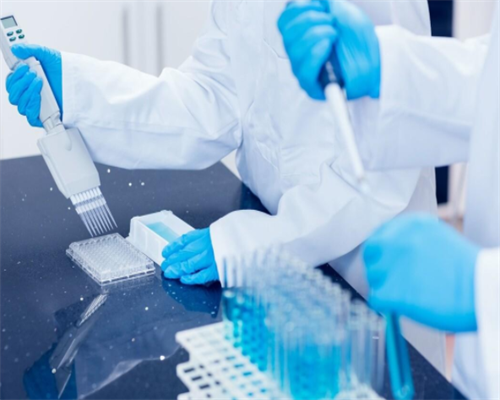 2026年洛阳做试管婴儿排名最好的医院是哪十家？