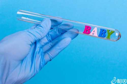 洛阳代怀科技的优势|【河北邯郸供卵试管婴儿】备孕五个月，成功好孕分享经