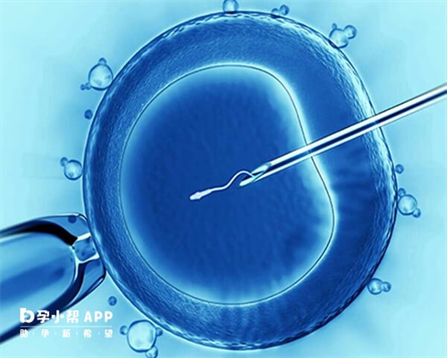 洛阳新生儿医保办理,洛阳iso认证,洛阳iso认证办理电话,洛阳iso认证机构