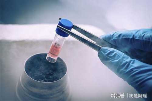 商丘三代试管二代试管区别？河南三代试管包生男孩价格