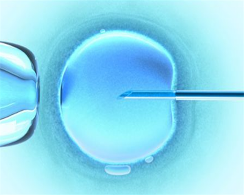 河南借卵生子流程_全面解析什么人做不了试管婴儿？