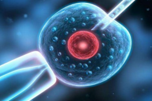 洛阳代孕辅助生殖中心是真的吗|高龄做三代试管婴儿有风险吗？注意这几点