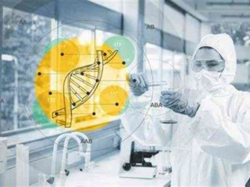 河南六院供卵_在甘肃张掖做助孕试管婴儿的成功率高不高？