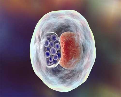 义乌市可以做试管生龙凤胎吗？附河南十强试管医院名单