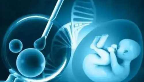 洛阳包成功代孕机构|求解答：宜昌仁和医院试管婴儿成功率是多少，有没有5