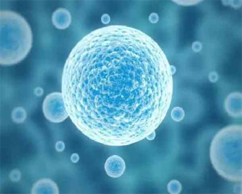 准备去做输卵管检查，洛阳哪个医院好些啊,我丈夫患有严重的少弱精子症，请