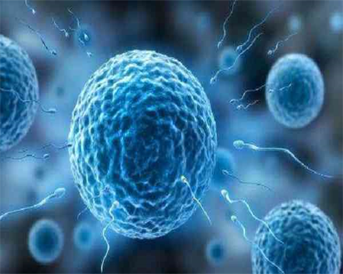 河南三附院做试管怎么样？?,河南不孕不育怎样治