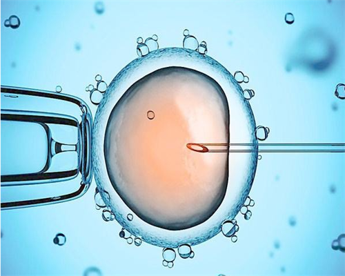 河南供卵中心收费多少 2026河南省人民医院做试管婴儿大概多少钱？ ‘四维凭长