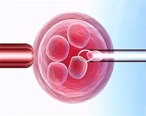 洛阳有做代孕的医院吗|做试管婴儿打针后会发胖吗