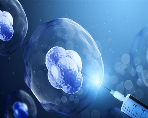 河南一对一教育机构排名,2026河南十大知名高考复读培训机构(河南十大高考复读