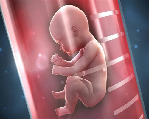 2026河南弓形子宫做试管婴儿的医院有哪些？附河南弓形子宫试管医院排名