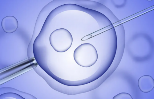 洛阳试管婴儿费用大概要多少钱？,洛阳冷冻卵子需要多少钱