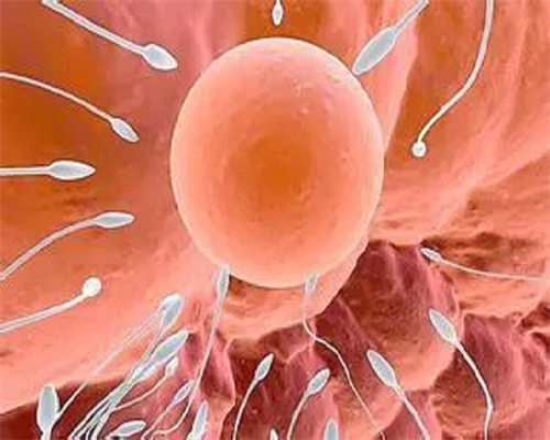 【洛阳站】上半场实况分享,【洛阳站】下半场实况分享